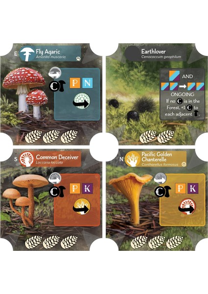 Undergrove Kutu Oyunu (Ingilizce) indirimleri