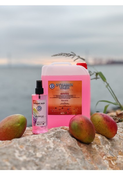 Mango Parfüm 2'li set 5 Lt - 250 ml Araç Parfümü Oto Parfümü Ortam Parfümü fiyatları