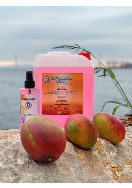 Mango Parfüm 2'li set 5 Lt - 250 ml Araç Parfümü Oto Parfümü Ortam Parfümü modelleri