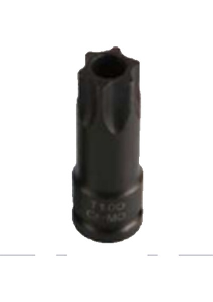 Mercedes T 100 Torx Vanus Sökme Lokması