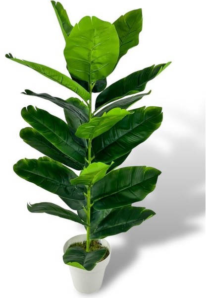 Yapay Çiçek Starliçe 80CM 23 Yapraklı Salon Çiçeği Beyaz Saksılı Yapay Bitki fiyatları