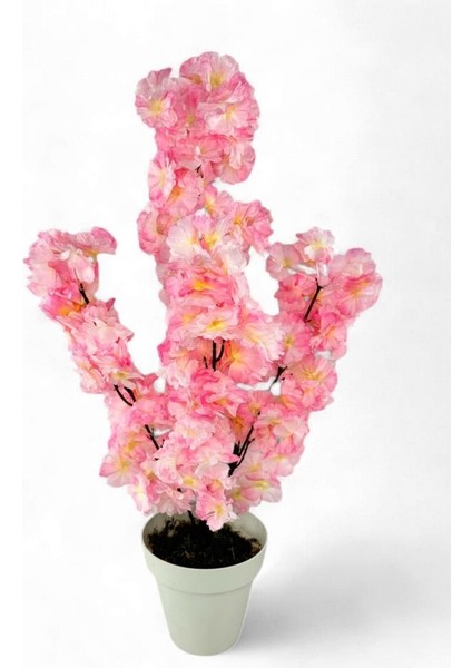 Yapay Ağaç Bahardalı Ağacı Pembe Japon Kiraz Çiçeği Sakura Çiçeği 70 cm Beyaz Plastik Saksılı