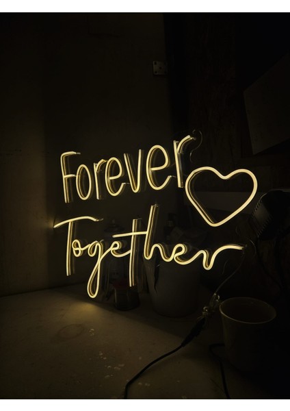Cizgineon Forever Together Işıklı Neon LED Duvar Dekarasyon fiyatları