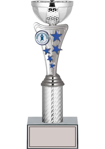 Kişiye Özel Başarı Kupası-Futbol Kupası-Tören Kupası-Okul Kupası-Birincilik Kupası-Şampiyonluk Kupası-Turnuva Kupası Ödül Kupası S037B 28 cm