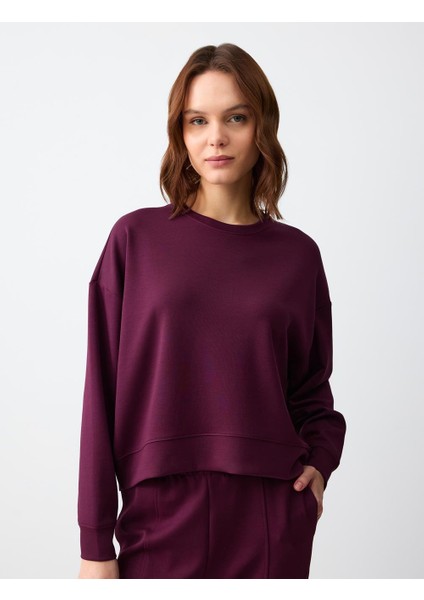 Sumak Rahat Kesim Bisiklet Yaka Uzun Kollu Örme Sweatshirt