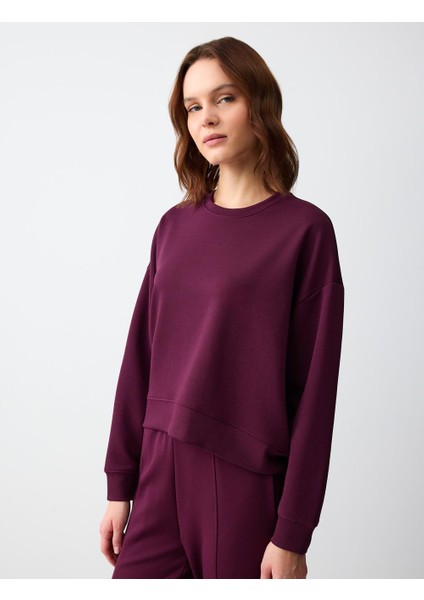 Sumak Rahat Kesim Bisiklet Yaka Uzun Kollu Örme Sweatshirt