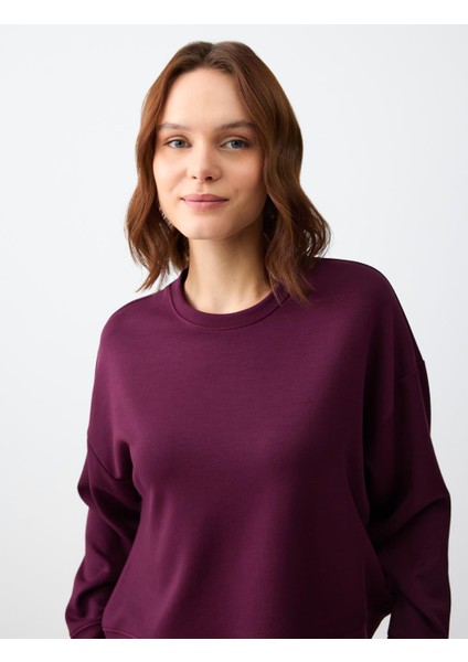 Sumak Rahat Kesim Bisiklet Yaka Uzun Kollu Örme Sweatshirt