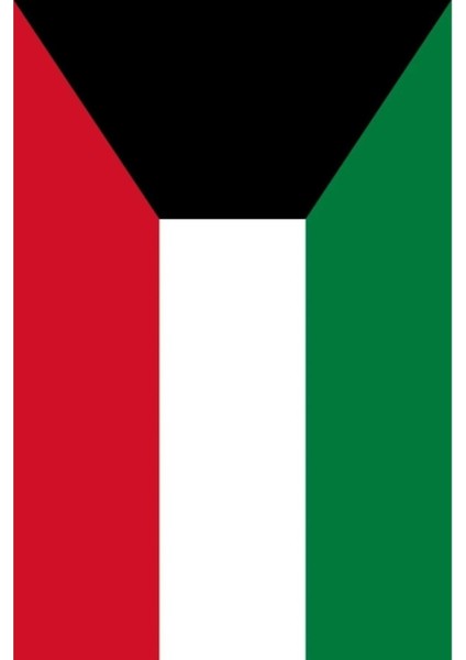 Kuveyt Bayrağı 30X45 Cm. fırsatları