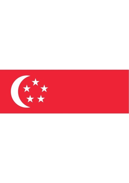 Singapur Gönder Bayrağı 70X105 Cm. modelleri