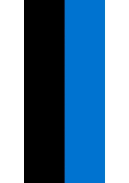 Estonya Bayrağı 30X45 Cm. fırsatları