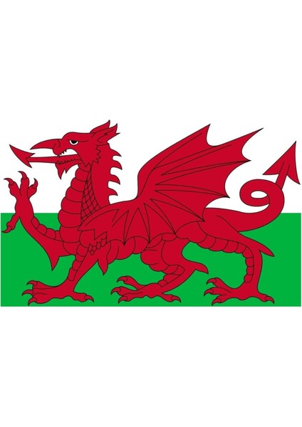 Galler Bayrağı 30X45 Cm.