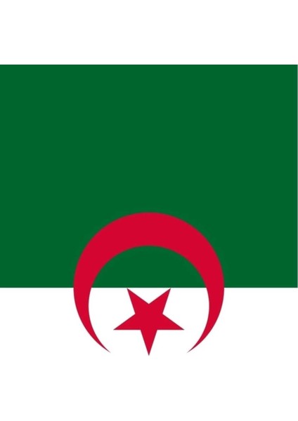 Cezayir Bayrağı 30X45 Cm. fiyatları