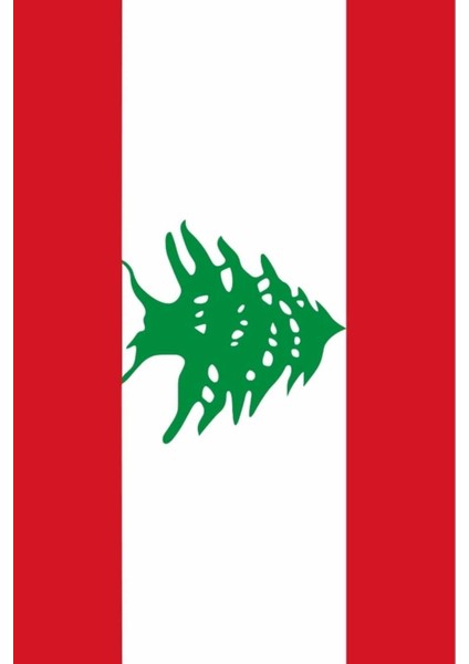 Lübnan Bayrağı 30X45 Cm. fırsatları