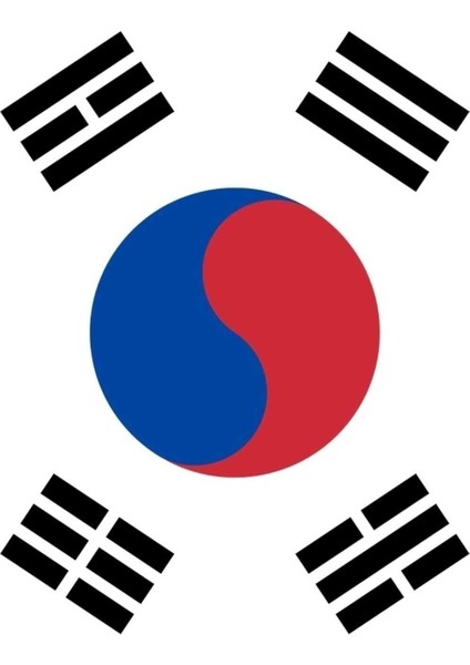 Güney Kore Cumhuriyeti Gönder Bayrağı 70X105 Cm. fırsatları