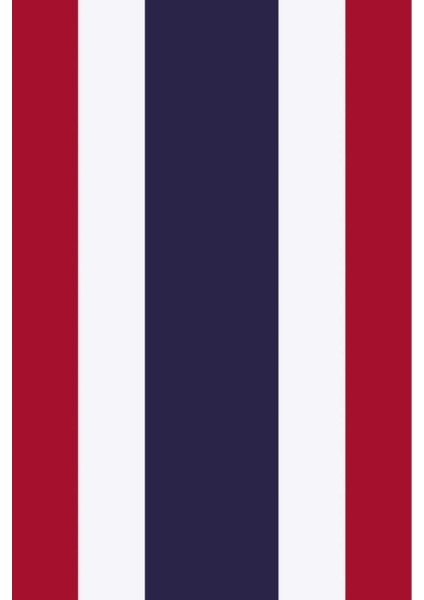 Tayland Gönder Bayrağı 70X105 Cm. fırsatları