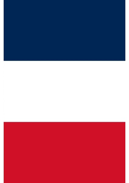 Fransa Bayrağı 30X45 Cm. fiyatları