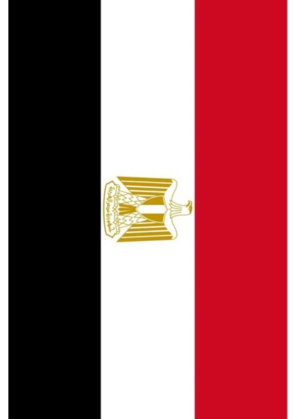 Mısır Bayrağı 30X45 Cm. fiyatları