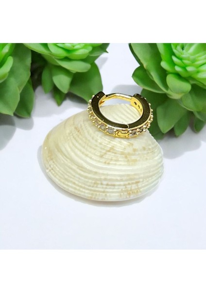 Cerrahi Çelik Gold Tam Tur Taşlı Tragus Helix Uyumlu Piercing