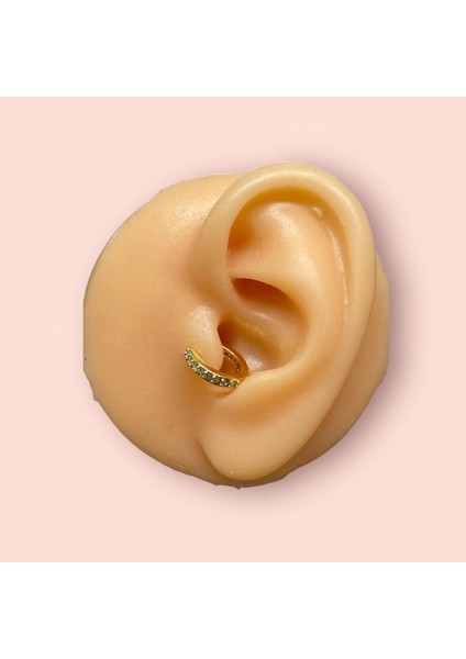 Cerrahi Çelik Gold Tam Tur Taşlı Tragus Helix Uyumlu Piercing fırsatları