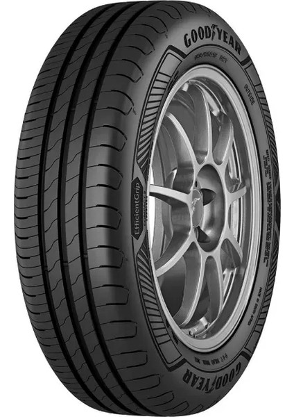 175/65 R15 84H Efficientgrip Compact 2 Oto Yaz Lastiği (Üretim Yılı: 2024)