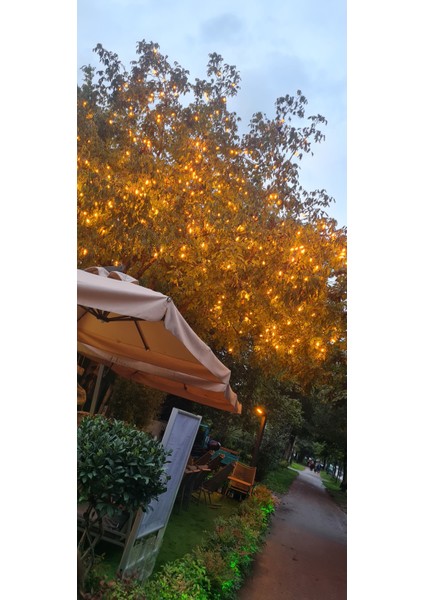 Eksiz Bağlantılı 1 Metre Aralıklı 10 Lu Seyyar Aydınlatma Kablosu Sıralı Düğün Işıkları Köy Düğün Işıkları Tavukçu Duy Kümes Aydınlatma Sıralı Duy Tavukçu Aydınlatma Kablosu