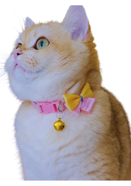 Kedi Köpek Tasması Ayarlanabilir Fiyonk Detaylı Lüx Pet Aksesuar fiyatları