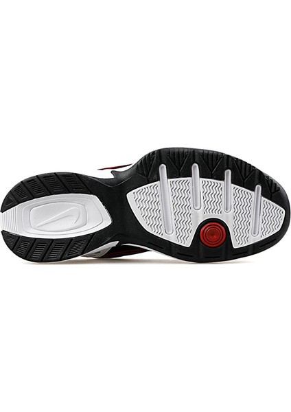 Air Monarch Iv Antrenman Ayakkabısı 415445-101 Beyaz