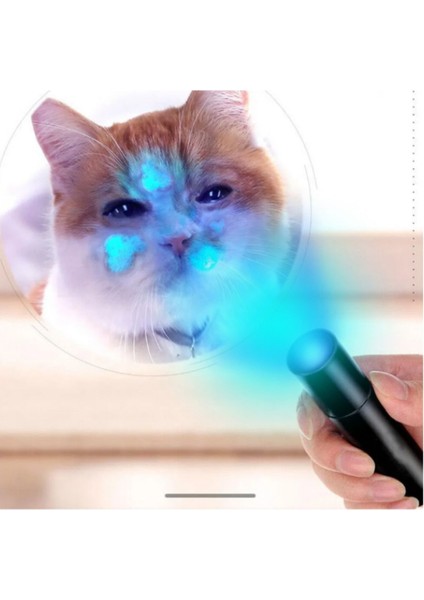 Uv Işıklı Büyük Boy El Feneri Ultraviyole Kedi Köpek Mantar