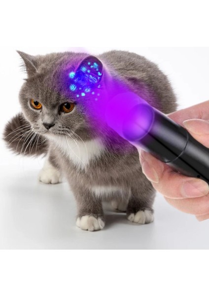 Uv Işıklı Büyük Boy El Feneri Ultraviyole Kedi Köpek Mantar fiyatları
