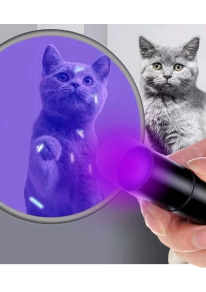 Uv Işıklı Büyük Boy El Feneri Ultraviyole Kedi Köpek Mantar modelleri