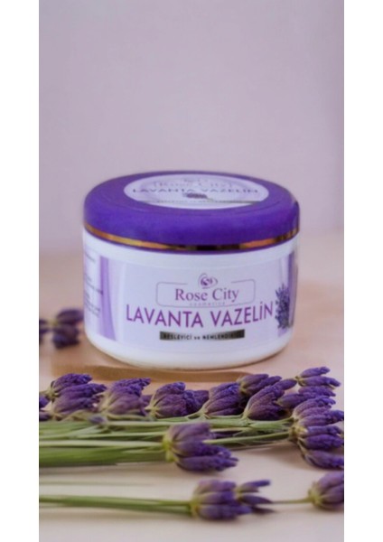 Lavanta Vazelini