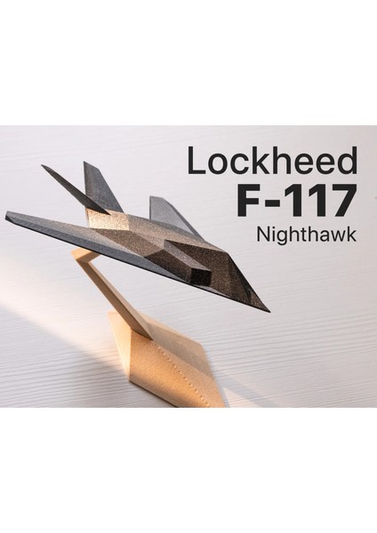 F-117 Maketi