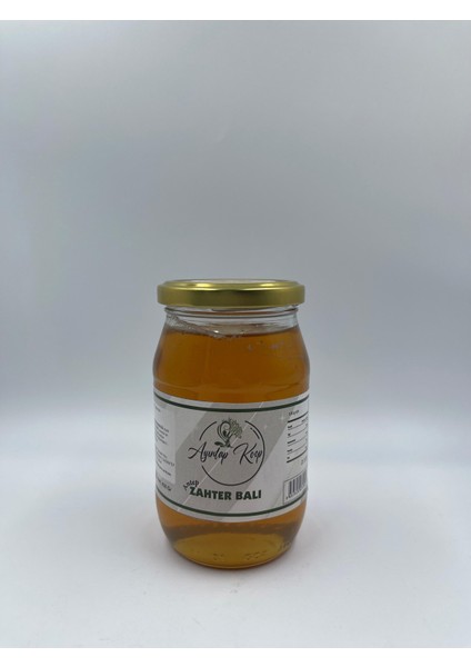 Ayıntapkoop Antep Zahter Balı 450 Gr.