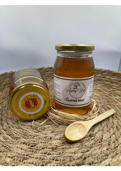 Ayıntapkoop Antep Zahter Balı 450 Gr.