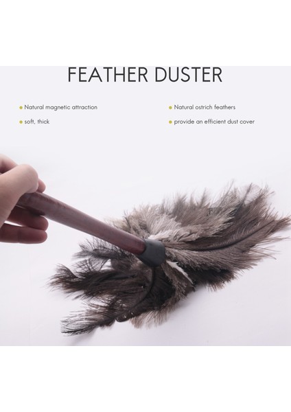 Запасные Части Пылесоса,devekuşu Temizleme Tüyü Silgi Devekuşu Silgi Devekuşu Tüyü Silgi Yumuşak Tüyler Silgi Mobilyadan Fan Kanatlarına (Yurt Dışından) fırsatları