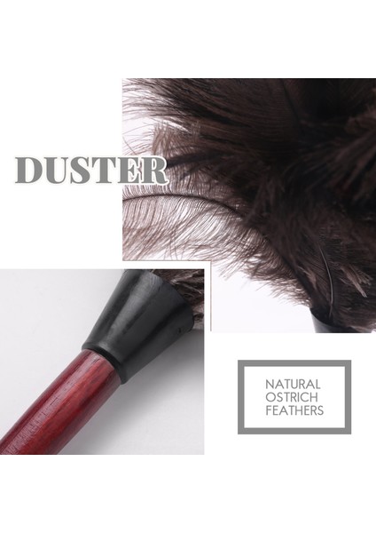 Запасные Части Пылесоса,devekuşu Temizleme Tüyü Silgi Devekuşu Silgi Devekuşu Tüyü Silgi Yumuşak Tüyler Silgi Mobilyadan Fan Kanatlarına (Yurt Dışından) indirimleri