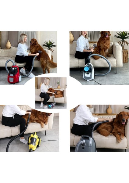Dyson Pet Bakım Aracı Köpek Fırçası Elektrikli Süpürge Dyson V6V7V8V9 Köpekbalığı Miele Karcher Elektrikli Süpürge (Yurt Dışından) fırsatları