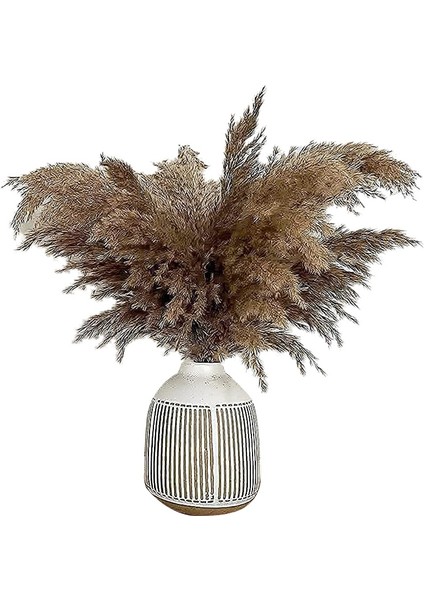 17.72INCH Kurutulmuş Pampas Çiçek Dekor Kabarık Pampas Çim 30 Kaynaklanıyor Küçük Pampas Toplu Doğal Pampas Otları Kısa (Yurt Dışından)