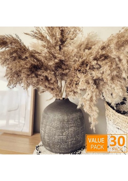 17.72INCH Kurutulmuş Pampas Çiçek Dekor Kabarık Pampas Çim 30 Kaynaklanıyor Küçük Pampas Toplu Doğal Pampas Otları Kısa (Yurt Dışından) fiyatları