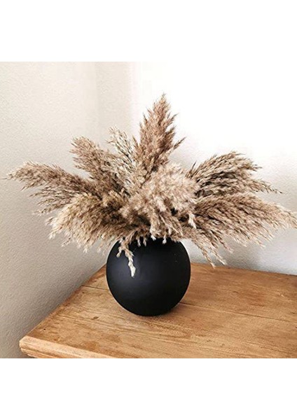 17.72INCH Kurutulmuş Pampas Çiçek Dekor Kabarık Pampas Çim 30 Kaynaklanıyor Küçük Pampas Toplu Doğal Pampas Otları Kısa (Yurt Dışından) modelleri