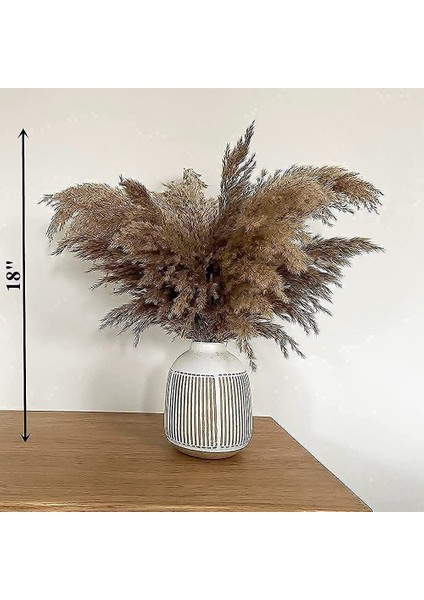 17.72INCH Kurutulmuş Pampas Çiçek Dekor Kabarık Pampas Çim 30 Kaynaklanıyor Küçük Pampas Toplu Doğal Pampas Otları Kısa (Yurt Dışından) indirimleri
