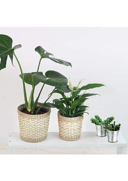 20 Adet Mini Metal Kova Taşınabilir Saksı Vazolar Yetiştiricilerinin Düğün Parti Ev Dekorasyon Için Güzel Şeker Kutusu (Yurt Dışından) indirimleri