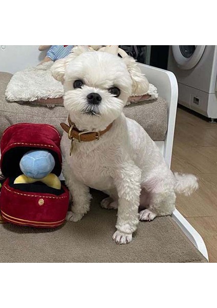 Yüzük Kutusu Peluş Oyuncak Aşk Kılıfı Dolması Pet Çiğneme Oyuncak Sesler Yavru Çocuklar Yumuşak Köpek Ilgilenen Oyuncaklar (Yurt Dışından) indirimleri