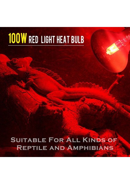 100 W 4 Paket Kızılötesi Isı Lamba Ampulü Kırmızı Işık Isı Ampulleri Evcil Hayvan Kertenkele Sakallı Ejderha Bukalemun Yılanlar Sürüngenler 220 V (Yurt Dışından) fiyatları