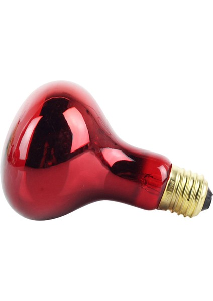 100 W 4 Paket Kızılötesi Isı Lamba Ampulü Kırmızı Işık Isı Ampulleri Evcil Hayvan Kertenkele Sakallı Ejderha Bukalemun Yılanlar Sürüngenler 220 V (Yurt Dışından) fırsatları