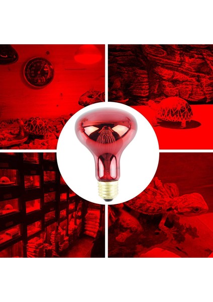 100 W 4 Paket Kızılötesi Isı Lamba Ampulü Kırmızı Işık Isı Ampulleri Evcil Hayvan Kertenkele Sakallı Ejderha Bukalemun Yılanlar Sürüngenler 220 V (Yurt Dışından) indirimleri