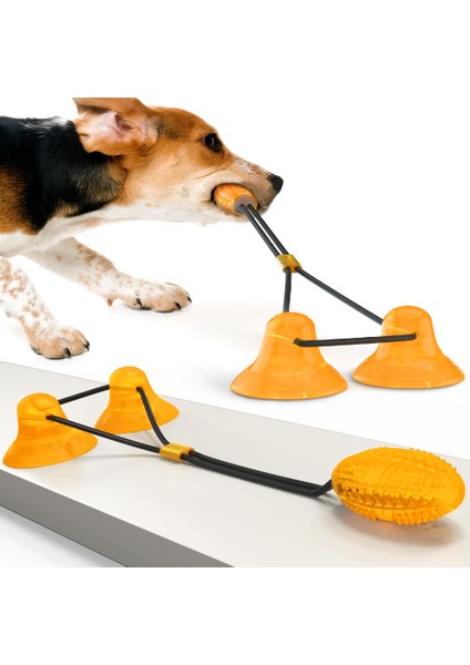 Pet Eğitim Oyuncakları Köpek Halat Topu Çekme Oyuncak Çift Vantuz Çiğneme Römorkör Oyuncaklar ile Uyumlu (Yurt Dışından) indirimleri