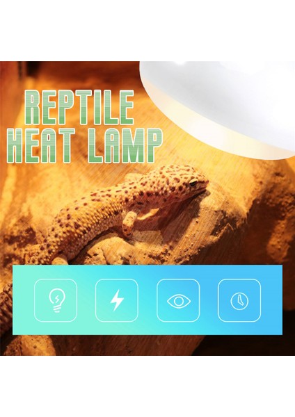Nomoypet 2 Paket Sürüngenler Uvb Uva Isı Lambası Ampulü Sürüngenler Için Gerçekten Güneş Gibi Parlak Isı Sürüngenler, Amfibi ve Kuşlar (100 W) (Yurt Dışından) indirimleri