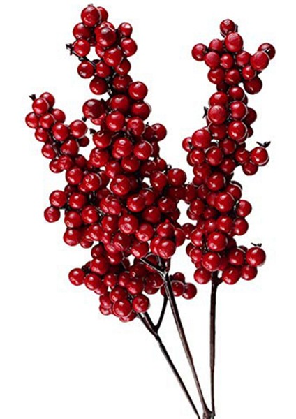 Человеческие Цветы,40 Adet Yapay Kırmızı Meyveler Kırmızı Meyveler ile Dekoratif Dallar Sonbahar Dalları Noel Seçtikleri Şube Meyveleri (Yurt Dışından) fiyatları