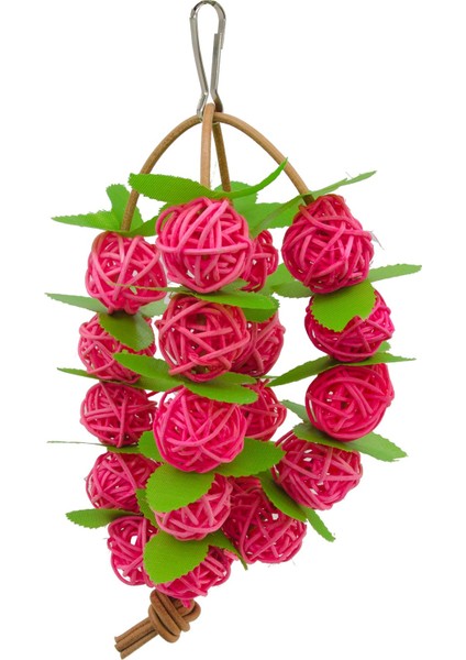 Kuşlarla Uyumlu Yaşlandırma ve Doğal Çiğneme Oyuncağı Asma Topları, Papağan Kafesi, Sallanan Tırmanma ve Çiğneme, Mini Amerika Papağanları (Yurt Dışından) fırsatları